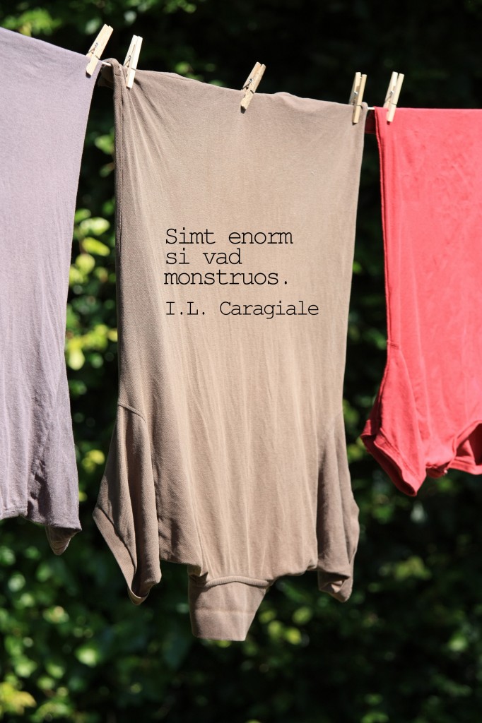 shirt copy